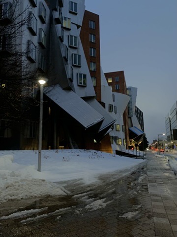 MIT Stata Center